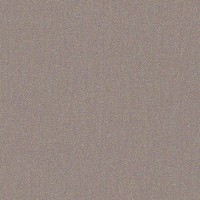 Metal Roofing Colors: Champagne