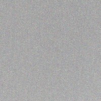 Metal Roofing Colors: Silver